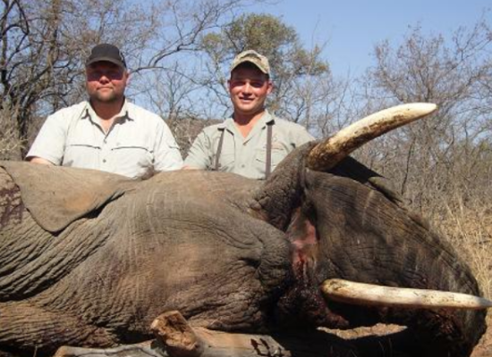 Elephant hunting / Elefantenjagd