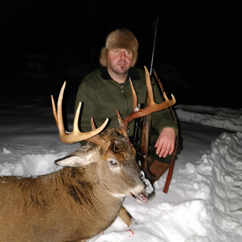 Finland whitetail deer/ Finnland Weiswedelhirsch