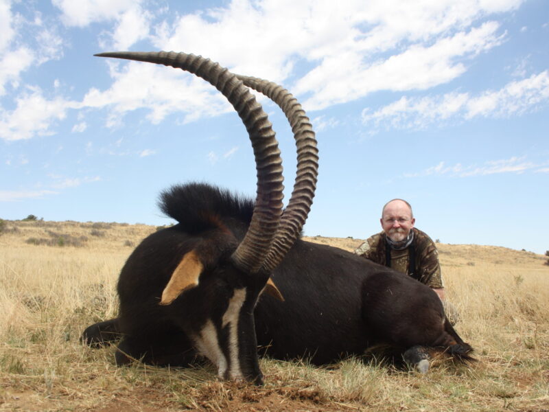 Southafrica Sable